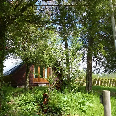 Nyaraló Familial A 10 Min De Vichy Avec Animaux Acceptes - Fr-1-489-274