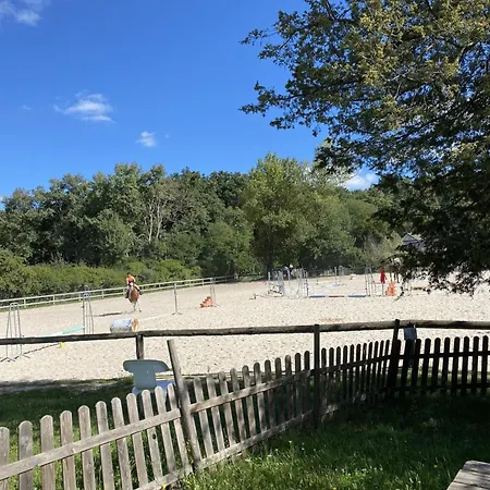 Familial A 10 Min De Vichy Avec Animaux Acceptes - Fr-1-489-274 *